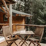 Daire Wooden Nest